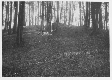 Tafel VIII a) Rethra: Nördliches Tor A des Vorwalles: vorn setzen Graben und Wall aus