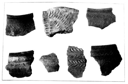 Tafel X a) Rethra: Slawische Topfscherben